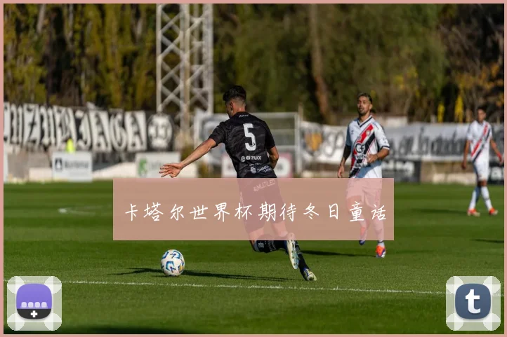 卡塔尔世界杯期待冬日童话