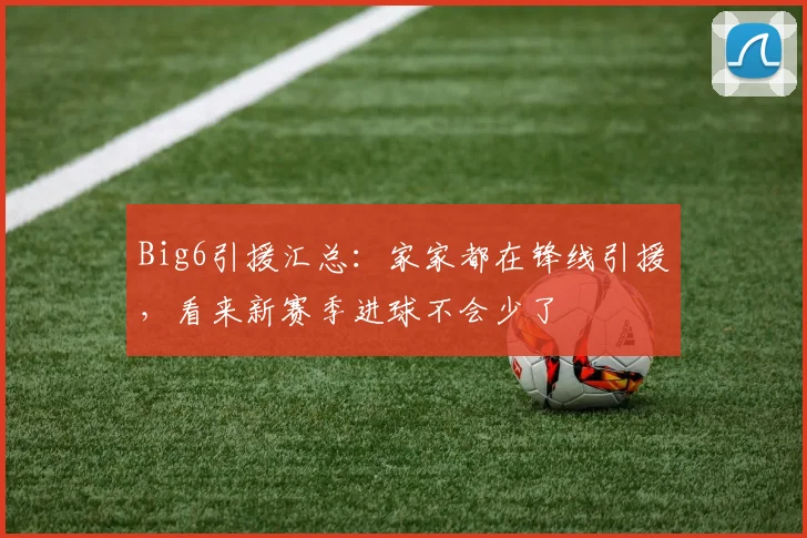 Big6引援汇总：家家都在锋线引援，看来新赛季进球不会少了