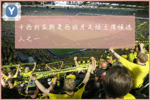 卡西利亚斯是西班牙足协主席候选人之一