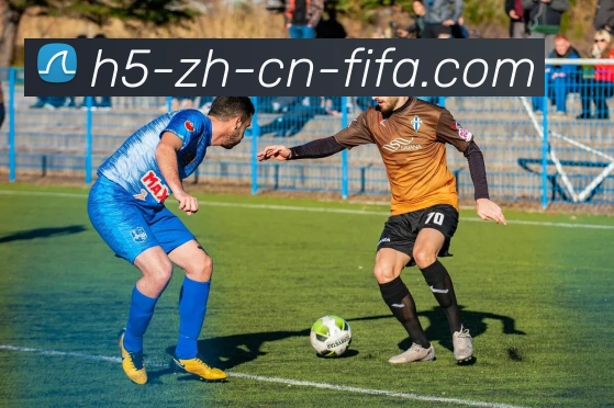 世界杯手机中文官方网站APP 封面图